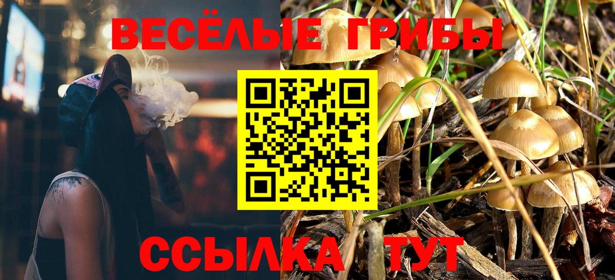 Галлюциногенные грибы Magic Shrooms  Галлюциногенные грибы Cubensis  Прохладный  Вход с VPN 