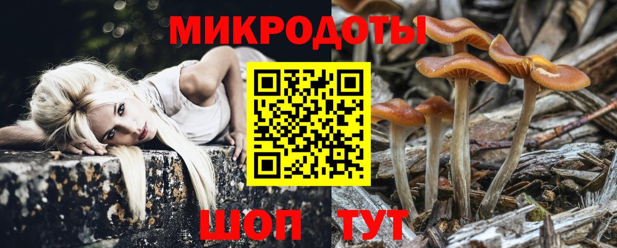 Псилоцибиновые грибы мицелий Прохладный